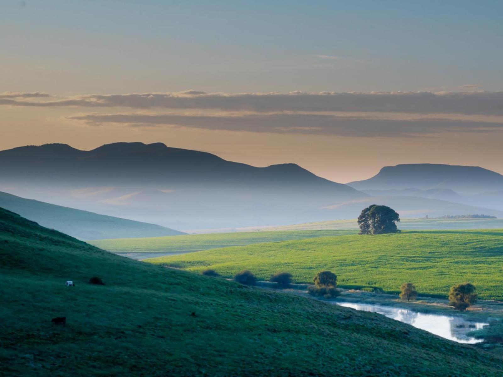 Flitwick Ranch 호텔 Swartberg 외부 사진