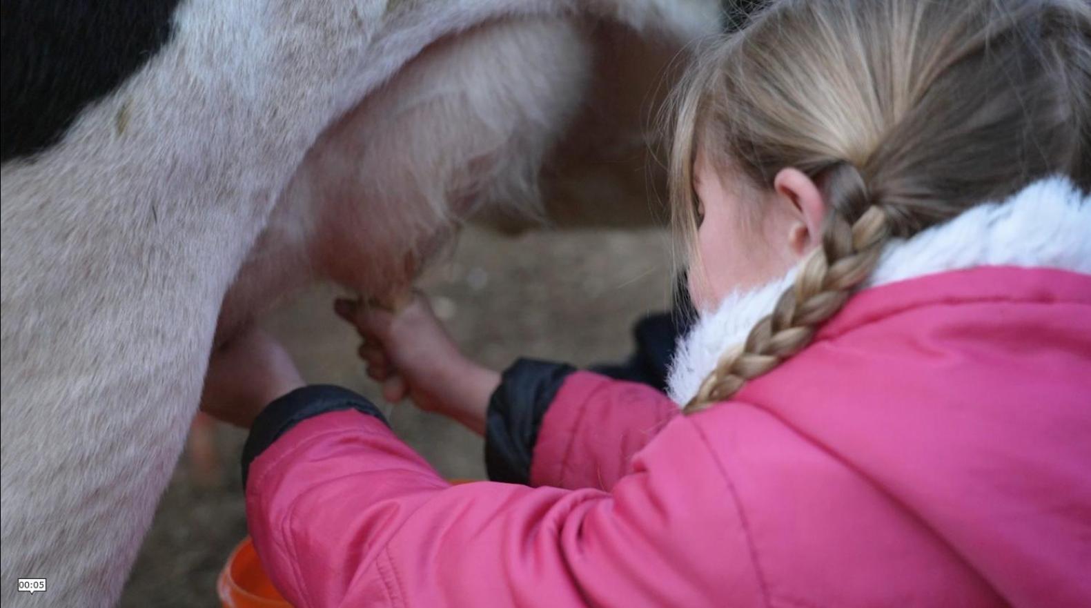 Flitwick Ranch 호텔 Swartberg 외부 사진
